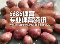 产品展示标题5