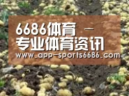 种植基地八(图1)