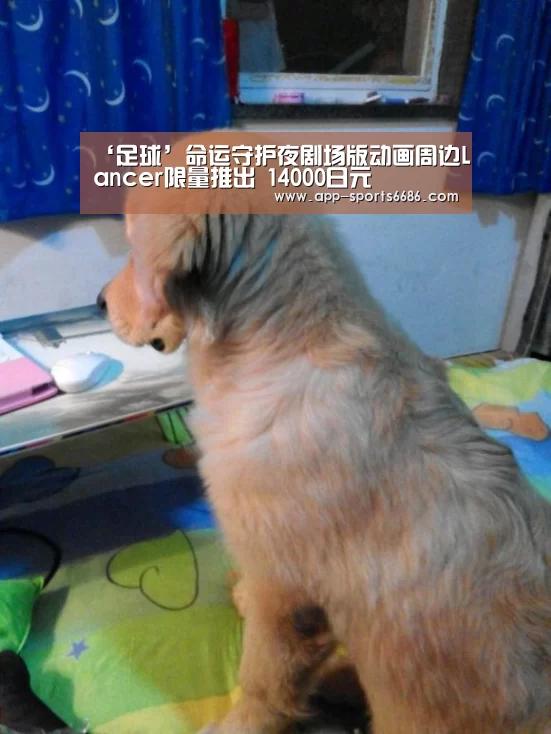 赛事直播