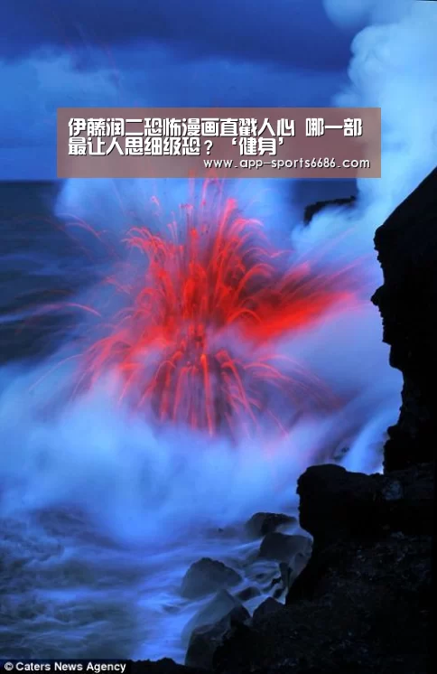 6686体育